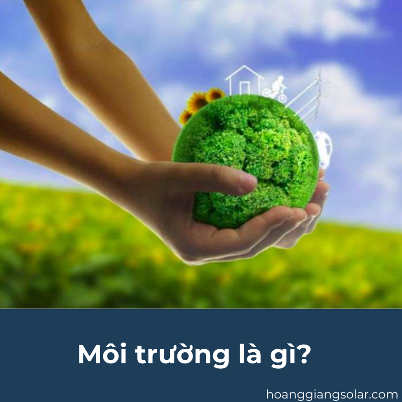 Ô nhiễm môi trường là gì? Biện pháp bảo vệ môi trường là gì?